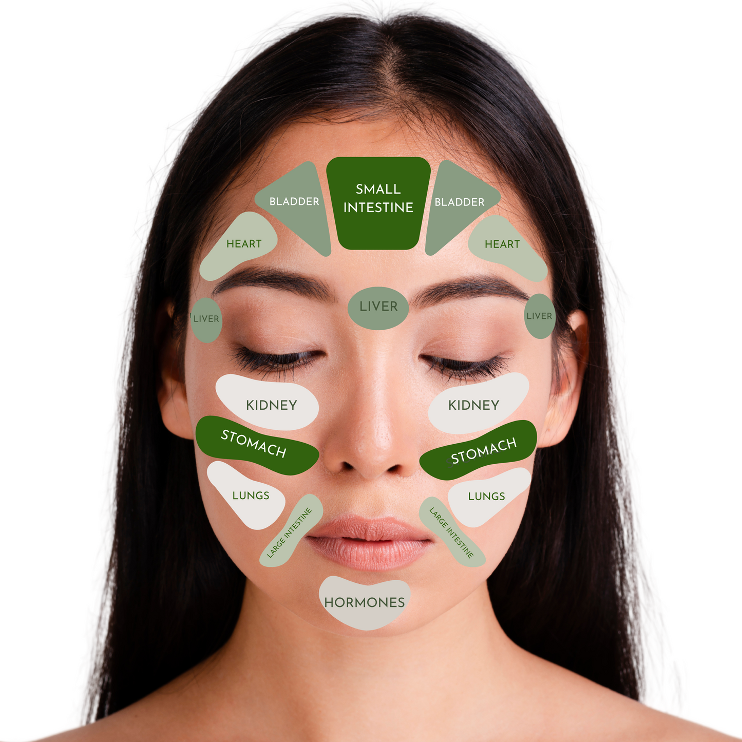 Facial Reflexology Tool